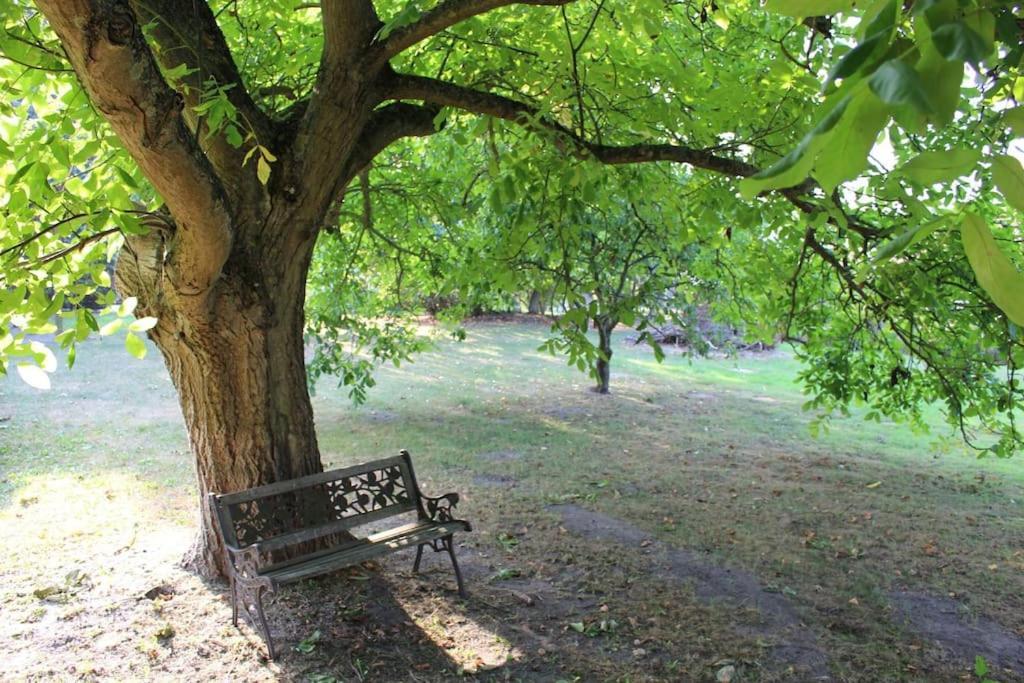 Romantische Ferienwohnung Unter Den Linden Buchholz  Екстер'єр фото